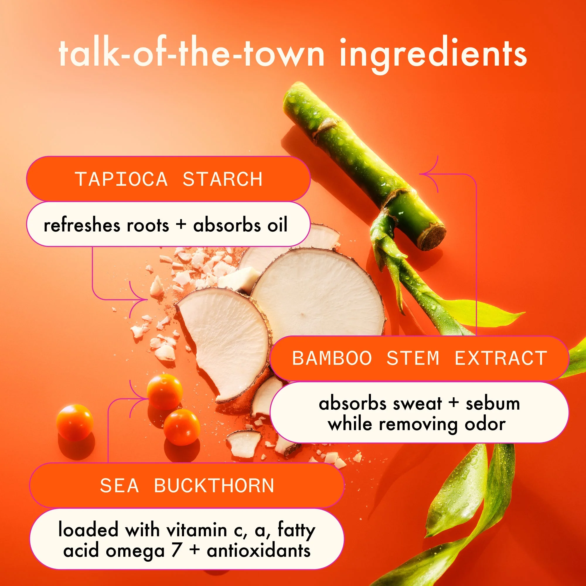 perk up ultra | oil control dry shampoo - Image 5